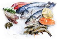 Cá biển- thực phẩm giàu chất dinh dưỡng